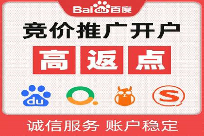 百度推广成功案例：打造行业领军品牌之路